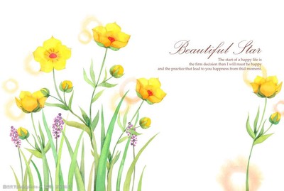 手繪唯美插畫之花卉藝術(shù)